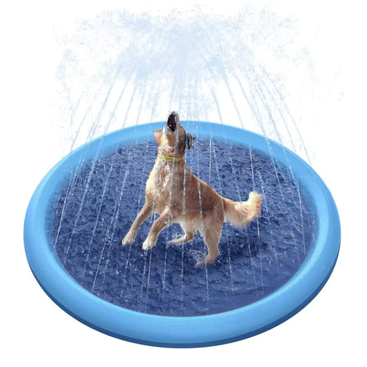 Summer Splash: Sprinkler Pad